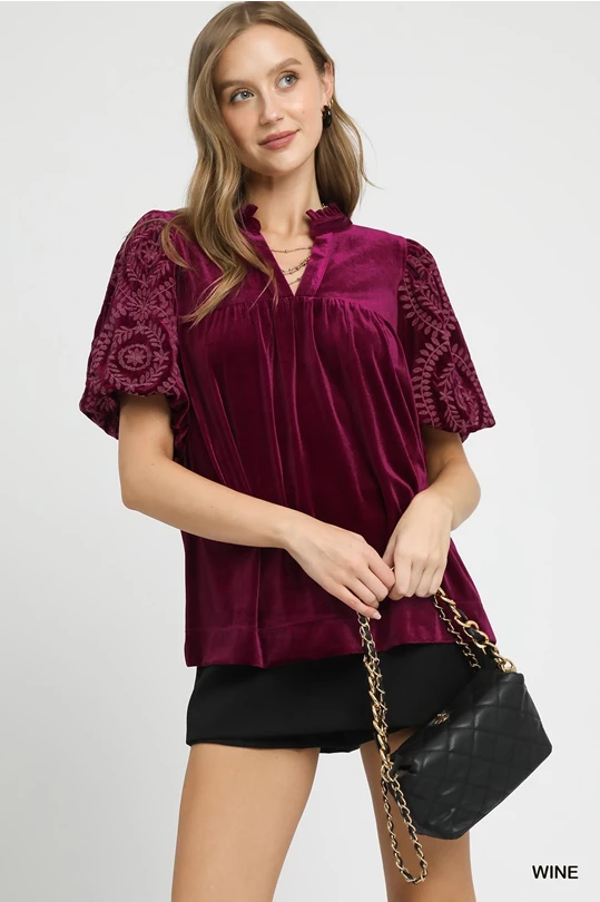 Velvet Embroidered Top