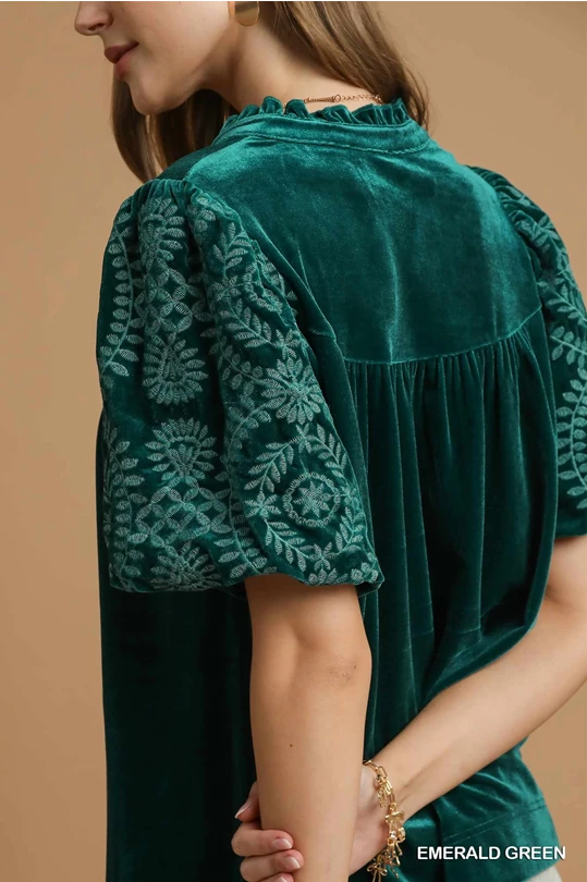 Velvet Embroidered Top