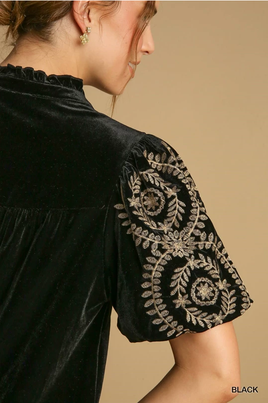 Velvet Embroidered Top