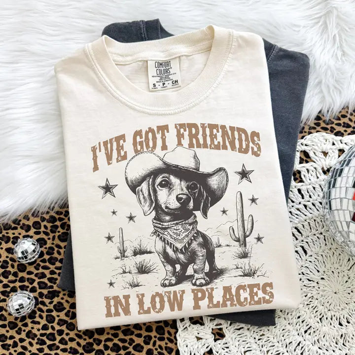I've Got Friends in Low Places Comfort Colors Graphic Tee