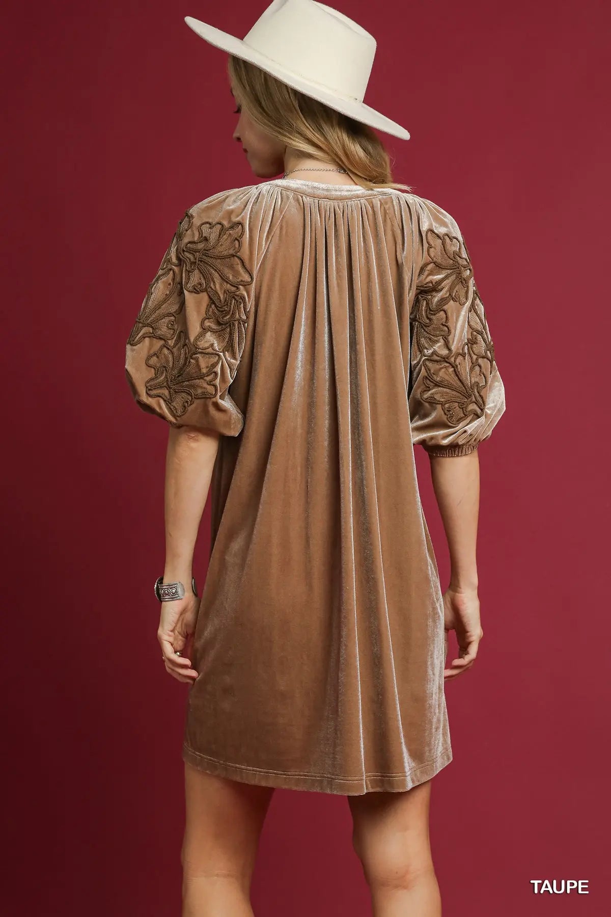 The Scarlet Velvet Dress