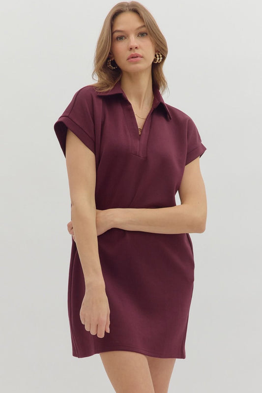 Burgundy V Neck Dress