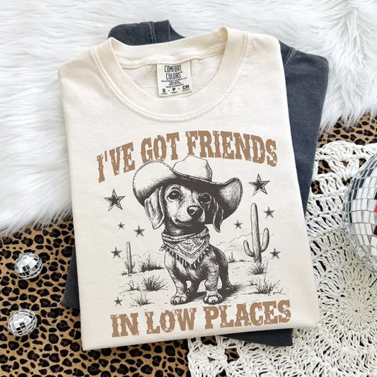I've Got Friends in Low Places Comfort Colors Graphic Tee