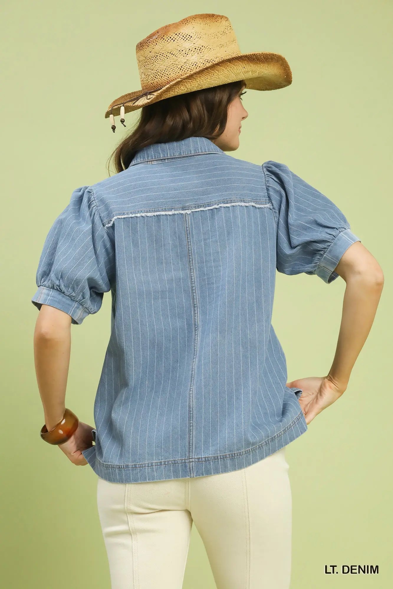 vertical stripe chambray top styled outfit