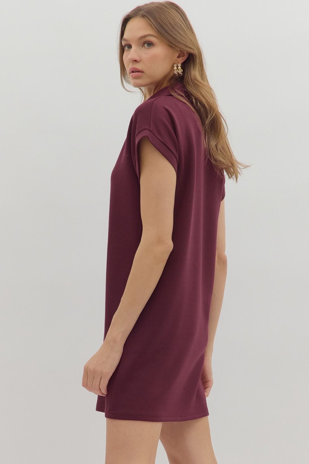 Burgundy V Neck Dress