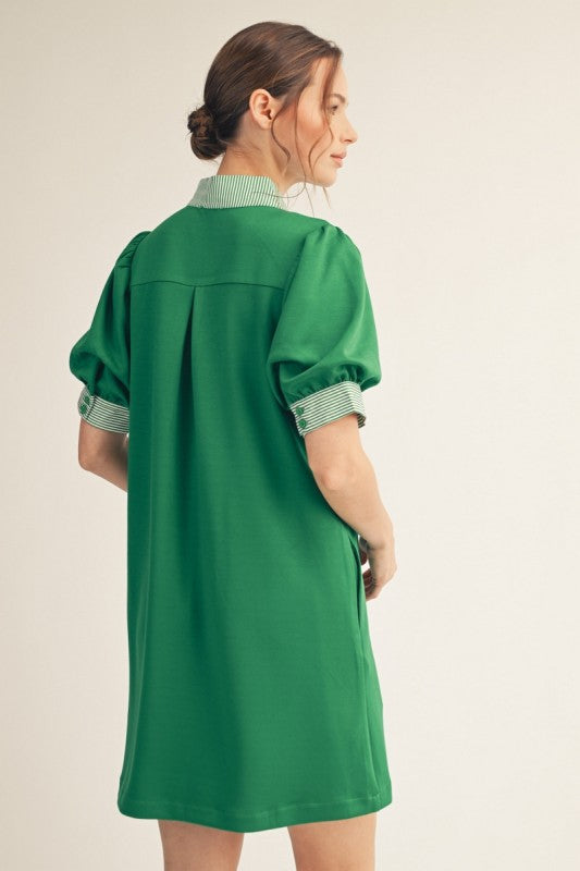 Back view of green puff sleeve shift dress